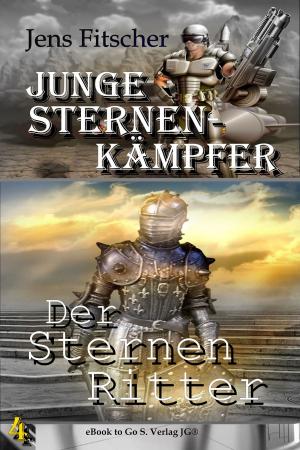 Cover of the book Der Sternen Ritter by Jens Fitscher