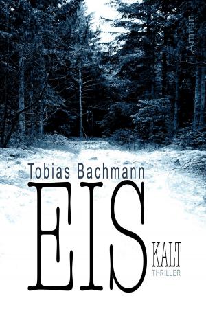 Cover of the book EISkalt. Ein Fall für Herbert Eis. by Marcus Richardson