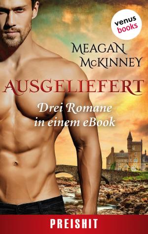 Cover of the book Ausgeliefert - Verführt von einem Rebellen by Megan MacFadden