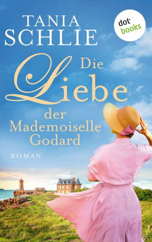 Book cover of Die Liebe der Mademoiselle Godard