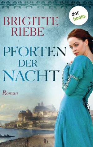 Cover of the book Pforten der Nacht by Christina Zacker
