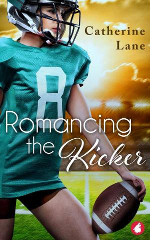 Cover of the book Romancing the Kicker by RJ Nolan