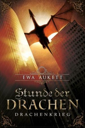 Cover of the book Stunde der Drachen - Drachenkrieg by Christine Eder