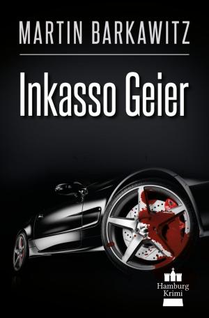 Cover of the book Inkasso Geier by Martin Barkawitz