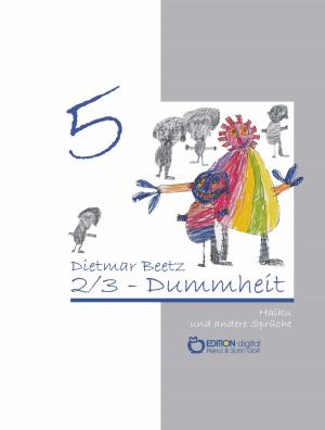 Cover of the book 2/3-Dummheit by Dietmar Beetz