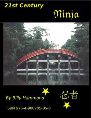Book cover of 21st Century Ninja