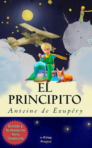 Cover of the book El Principito by Kestra Pingree