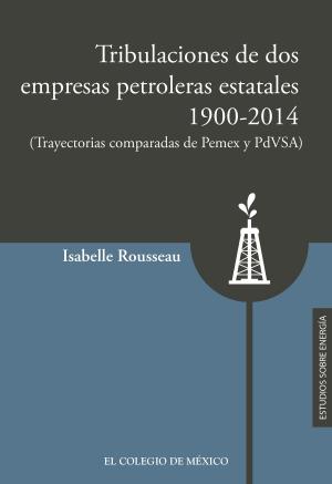 Cover of Tribulaciones de dos empresas petroleras estatales, 1900-2017
