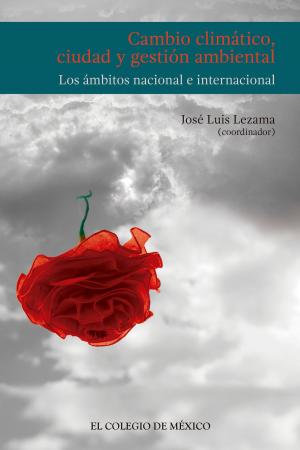Book cover of Cambio climático, ciudad y gestión ambiental.