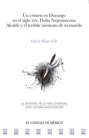 Cover of the book Un crimen en Durango en el siglo XIX by José Luis Méndez