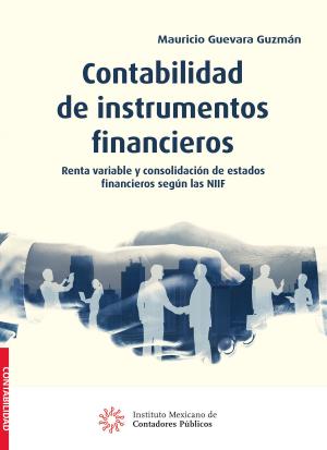 Cover of the book Contabilidad de instrumentos financieros by Carmen Karina Tapia Iturriaga