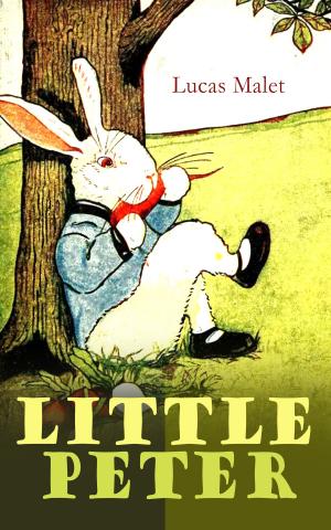 Cover of the book Little Peter by J. Allan Dunn