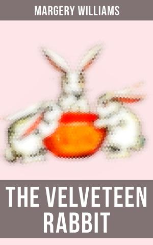 Cover of the book The Velveteen Rabbit by James Fenimore Cooper