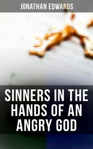 bigCover of the book Sinners in the Hands of an Angry God by 