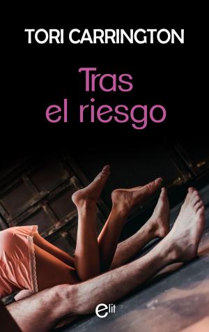 Cover of the book Tras el riesgo by Varias Autoras