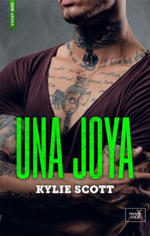 Cover of the book UNA JOYA (Stage Dive-2,5) by Sally J.Pla
