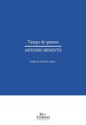 Book cover of TIEMPO DE QUIMERA