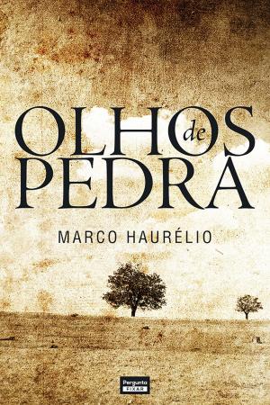 Cover of the book Olhos de pedra by Ahmed Hamzah