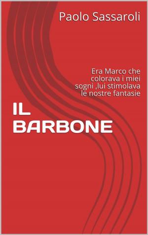 Cover of the book Il barbone by Paolo Sassaroli, Paolo Sassaroli