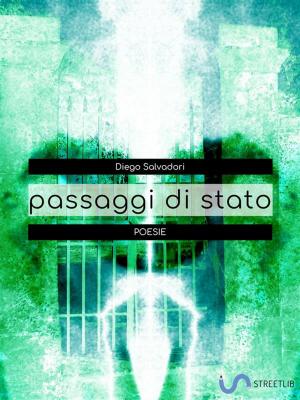 Cover of the book Passaggi di stato by José Leon Machado