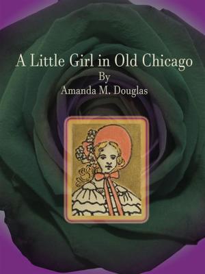 Book cover of A Little Girl in Old Chicago