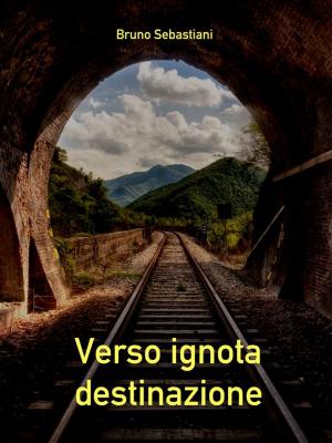 Book cover of Verso ignota destinazione