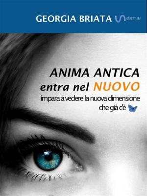Cover of the book Anima antica entra nel nuovo by 李清志