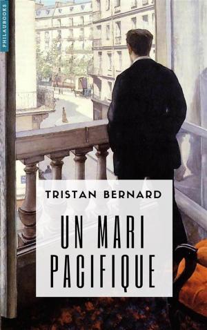Cover of the book Un mari pacifique by Maurice Barrès