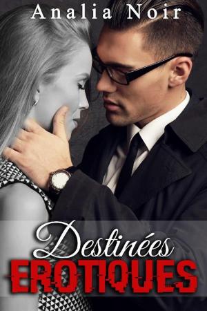 Cover of Destinées Erotiques: LUI