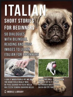 Cover of Italian Short Stories for Beginners