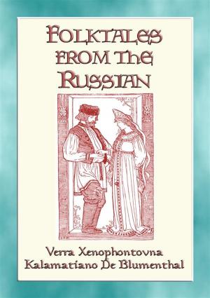 Book cover of FOLK TALES FROM THE RUSSIAN - Russian Folk and Fairy Tales