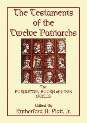 Book cover of THE TESTAMENTS OF THE TWELVE PATRIARCHS - the biographies of 12 giants of the ancient world