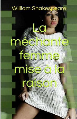 Cover of the book La méchante femme mise à la raison by Alberto Blest Gana