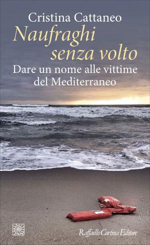 Cover of the book Naufraghi senza volto by Max Tegmark