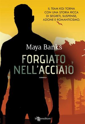 Cover of the book Forgiato nell'acciaio by Silvia Casini