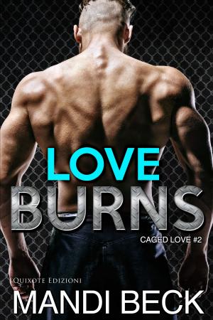 Cover of the book Love Burns by A.M. Hargrove, Terri E. Laine