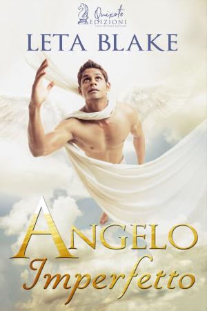 bigCover of the book Angelo Imperfetto by 