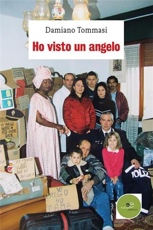 Cover of the book Ho visto un angelo by Simone Nigrisoli