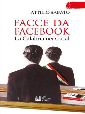 Cover of the book Facce da facebook. La Calabria nei social by Émile Zola