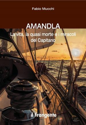 Book cover of Amandla