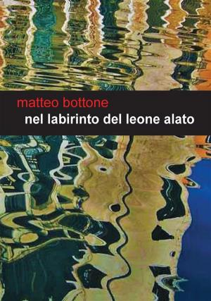 Cover of the book Nel labirinto del leone alato by Beatrice da Vela