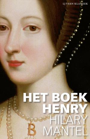 Book cover of Het boek Henry
