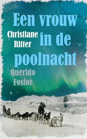 Book cover of Een vrouw in de poolnacht