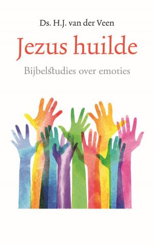 Cover of the book Jezus huilde by Leni Saris, Louise d'Anjou