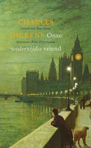 Cover of the book Onze wederzijdse vriend by Toon Tellegen