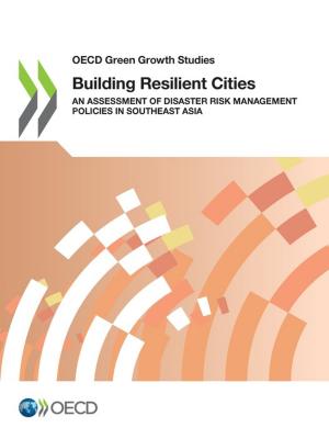 bigCover of the book Building Resilient Cities by 