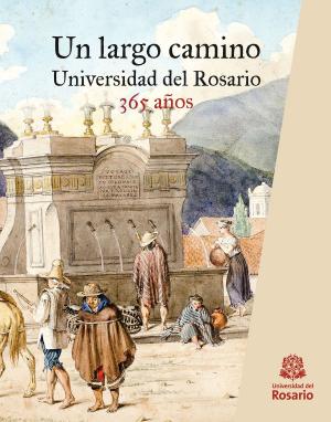 Cover of the book Un largo camino by Shlomo Angel