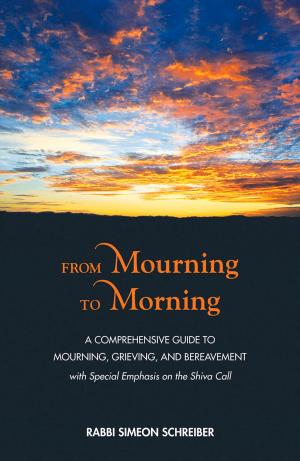 Cover of the book From Mourning to Morning by Rabbi Dr. Shmuly Yanklowitz