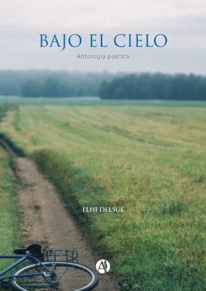 Cover of the book Bajo el cielo by Nicolás Saldaña