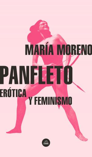 Cover of the book Panfleto by Maritchu Seitún, Sofía Chas